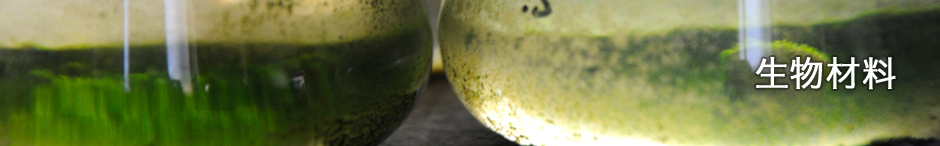 生物材料