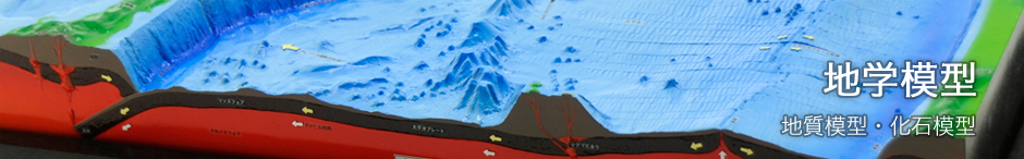 地学模型